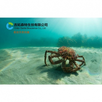 0831003.jpg 0831003.jpg